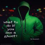 What to do if you see a ghost?, Barakath