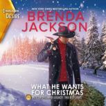 What He Wants for Christmas, Brenda Jackson