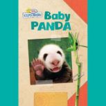 Active Minds Explorers: Baby Panda, Ellen Lawrence