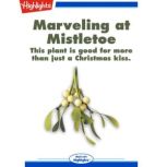Marveling at Mistletoe This plant is good for more than just a Christmas kiss., Julie Brooks Hiller