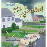 It's a Tornado, Nadia Higgins