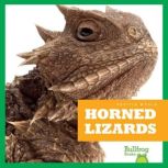 Horned Lizards, Cari Meister