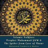 Islamic Folklore Prophet Muhammad SAW & The Spider from Cave of Thawr, Muhammad Vandestra