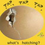 Tap, Tap, Tap What's Hatching?, Meg Greve