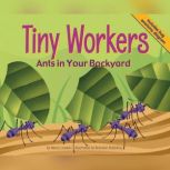 Tiny Workers Ants in Your Backyard, Nancy Loewen