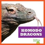 Komodo Dragons, Cari Meister