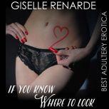 If You Know Where to Look Adultery Erotica, Giselle Renarde