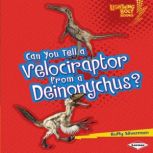 Can You Tell a Velociraptor from a Deinonychus?, Buffy Silverman