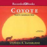 Coyote North America's Dog