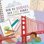 How Do Bridges Not Fall Down? A Book About Architecture & Engineering