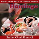 Flamingo Photos and Fun Facts for Kids, Isis Gaillard