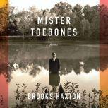 Mister Toebones Poems, Brooks Haxton
