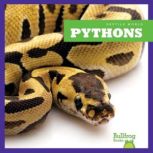 Pythons, Cari Meister