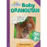 Active Minds Explorers: Baby Orangutan, Ellen Lawrence