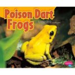 Poison Dart Frogs, Cecilia Pinto McCarthy