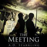 The Meeting A Seventeen Series Short Story, AD Starrling