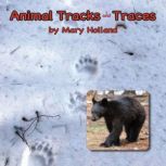 Animal Tracks and Traces, Mary Holland