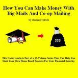 09. How To Make Money With Big Mails And Co-op Mailing