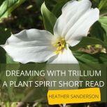 Dreaming with Trillium A Plant Spirit Short Read