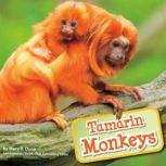 Tamarin Monkeys, Mary R. Dunn