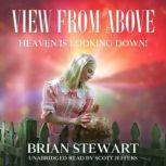View From Above Heaven is Looking Down, Brian Stewart