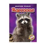 Raccoons, Emily Green