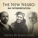 The New Negro An Interpretation