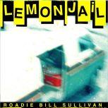 Lemon Jail On The Road With The Replacements, Bill Sullivan