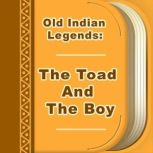 The Toad And The Boy, unknown