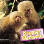 Pygmy Marmosets, Mary R. Dunn