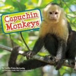 Capuchin Monkeys, Cecilia Pinto McCarthy