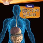 Your Digestive System, Rebecca L. Johnson