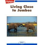 Living Close to Jumbos, Cecil Dzwowa