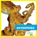Octopuses, Cari Meister