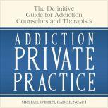 Addiction Private Practice The Definitive Guide for Addiction Counselors and Therapists, Michael O'Brien