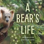 A Bear's Life, Ian McAllister