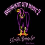 Moonlight City Drive 2 Electric Boogaloo, Brian Paone