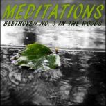 Meditations  Beethoven No. 3 in the Woods, LowApps Studios