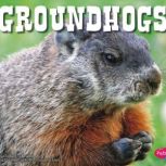 Groundhogs, Chadwick Gillenwater