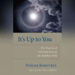 It's Up to You The Practice of Self-Reflection on the Buddhist Path, Dzigar Kongtrul