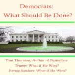 Democrats: What Should They Do? Preventing Going Out of Business like the Federalists & Whigs, Tom Thornton