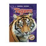 Tigers, Derek Zobel