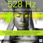 Healing Meditation Music 528 Hz 20 minutes The experience of well-being