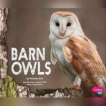 Barn Owls, Melissa Hill