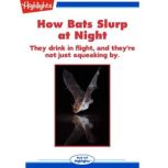 How Bats Slurp at Night, Alison Pearce Stevens, Ph.D.