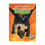 Bats, Kari Schuetz