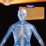 Your Skeletal System, Caroline Arnold