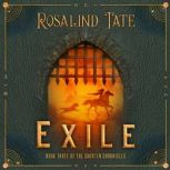 Exile A Romantic Time Travel Mystery, Rosalind Tate
