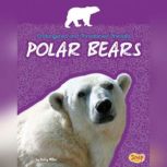 Polar Bears, Kathy Allen