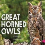 Great Horned Owls, Melissa Hill